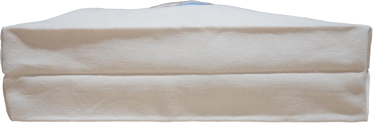 オリオンビール ロゴ 帆布バッグ トートバッグ ナチュラル色 沖縄 オリオン お土産 手提げ