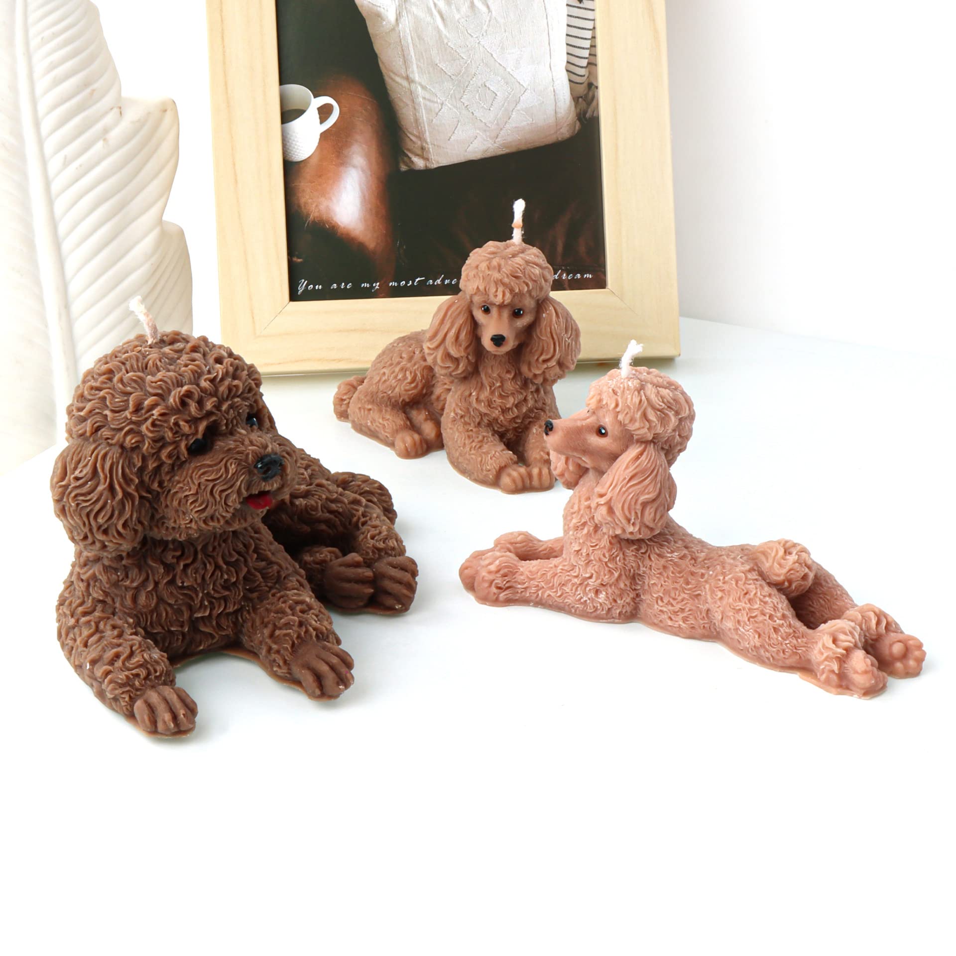 View 7