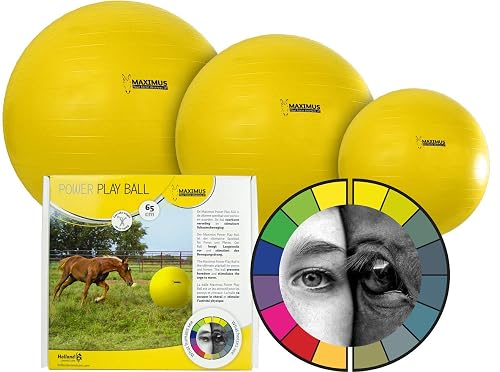 Maximus Suministros Para El Caballo Power Play Ball 65 cm