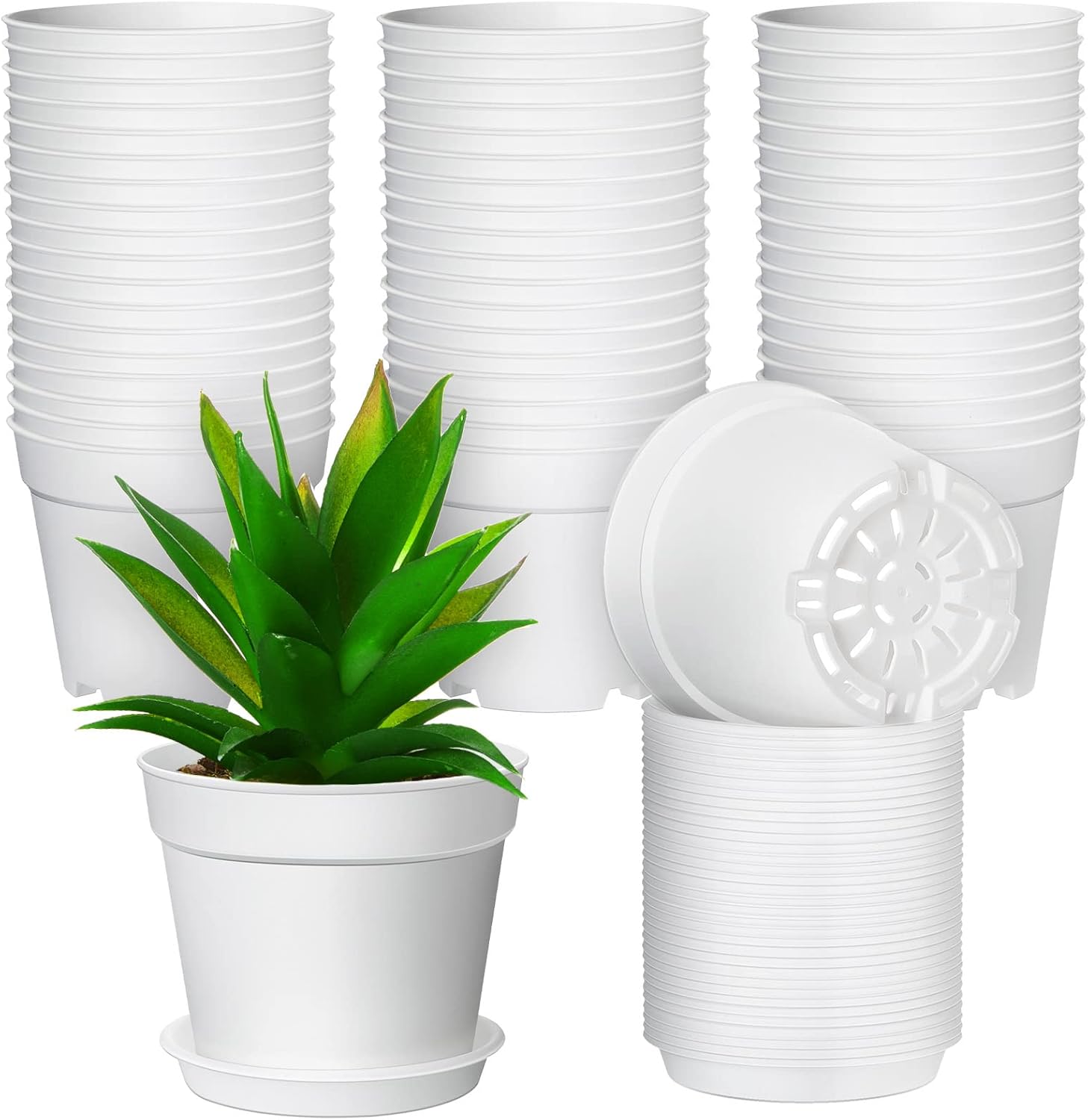 4 Inch Small Plant Pots Plastic Planters with Drainage