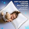 ROYAL THERAPY Queen Professional Hotel Pillows (Double-Pack) Pharmonis USA - A Set of Premium Plush Gel Microfiber Down Alternative Hypoallergenic Bed Pillows Stomach & Back Sleepers