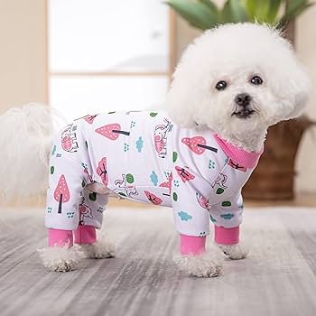 For Large Dogs Pet Christmas Pajamas 12 Adorable Matching Pet And