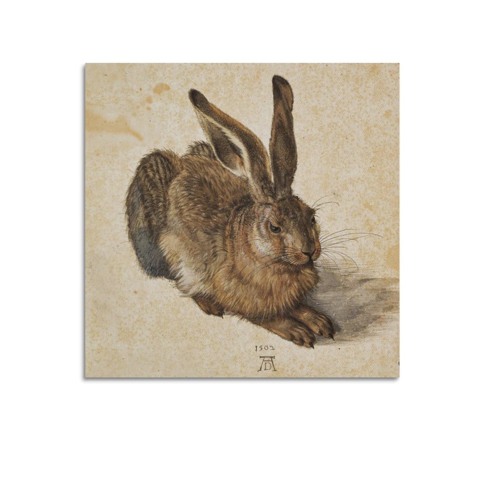 RedVos Young Hare,1502 Poster by Albrecht Dürer Canvas Art And Wall Art Picture Print Modern Family Bedroom Decors 12x12inch(30x30cm)