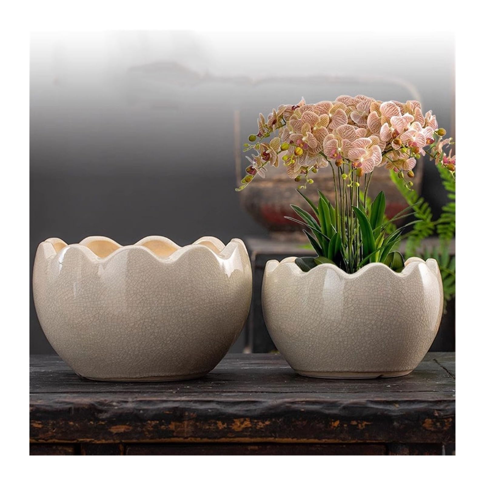 Gliniane doniczki dla roślin spersonalizowana kreatywna orchidea sukulent doniczka ceramiczna duża średnica zielona roślina dekoracyjna doniczka doniczki (biała, M)