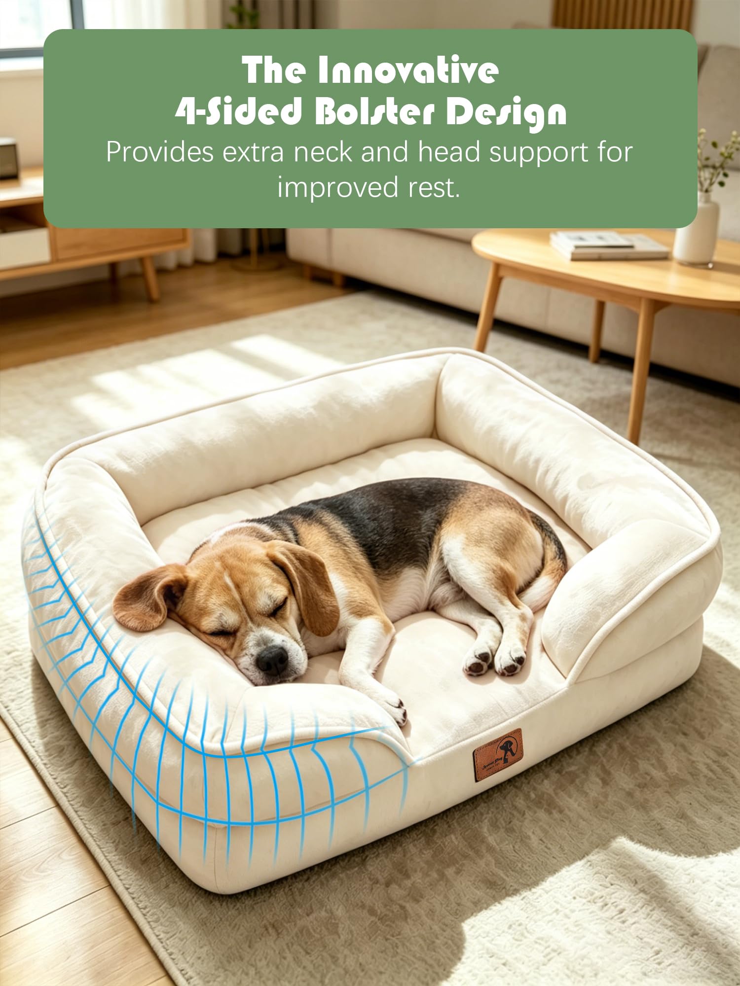 Spotted Play Orthopedic Dog Bed with Sides - Sofa Beds for Medium Dogs, Supportive Foam Pet Couch Bed with Washable Removable Cover, Waterproof Lining and Non-Slip Bottom, Ivory - M view 5