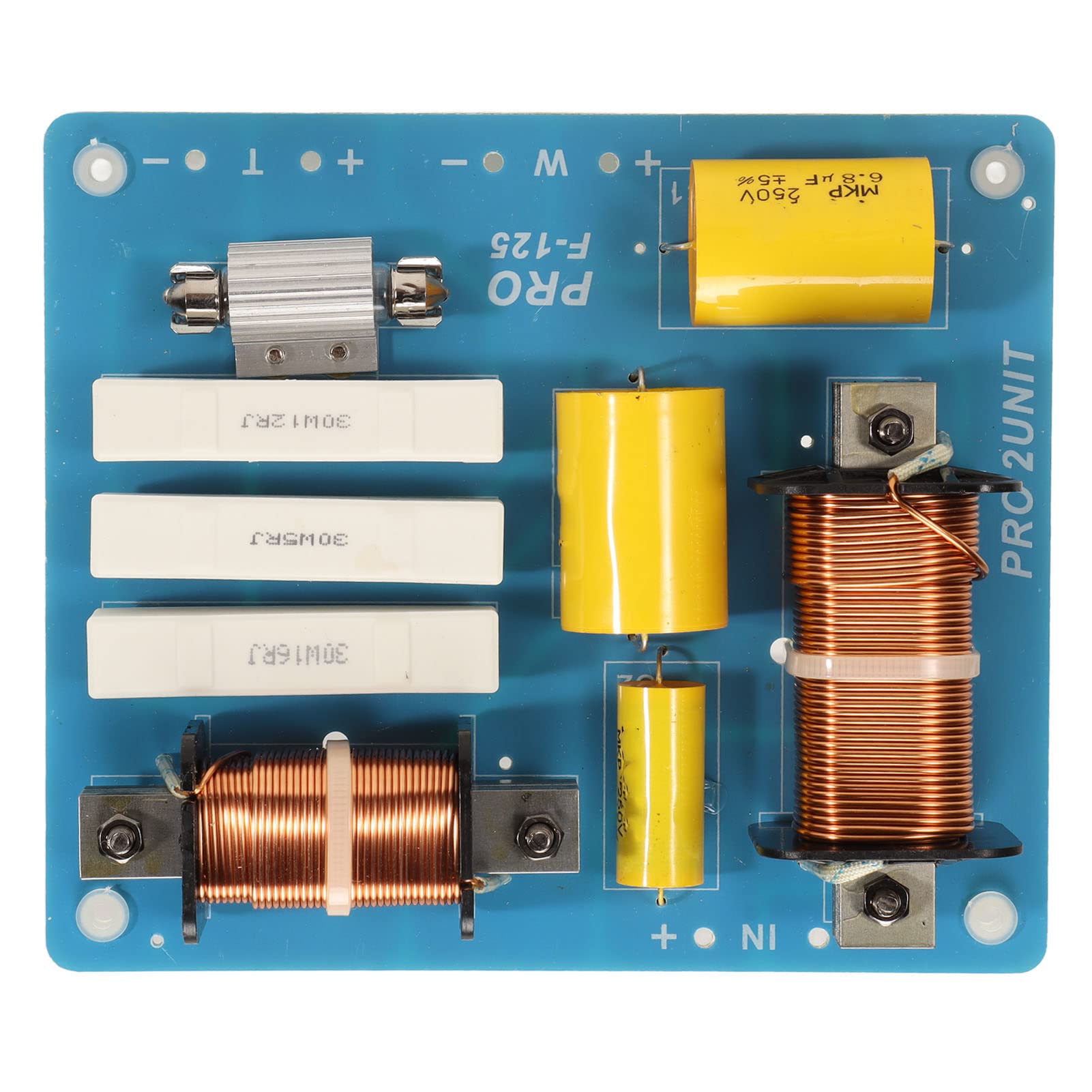 Crossover 2 Voies, 800 W, Diviseur de Fréquence Professionnel pour Haut-Parleur de Conférence sur Scène Extérieure, Son de qualité Supérieure, Haute Performance, Largement