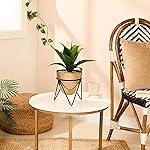 amazon basics Metal Planters with Stand (Pack of 1) | Planter for Living Room and Bedroom Decor | Best Decor Gift (Copper Gold)