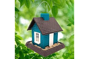 Village Collection Lakeside Cabin Birdfeeder in Brown and Teal