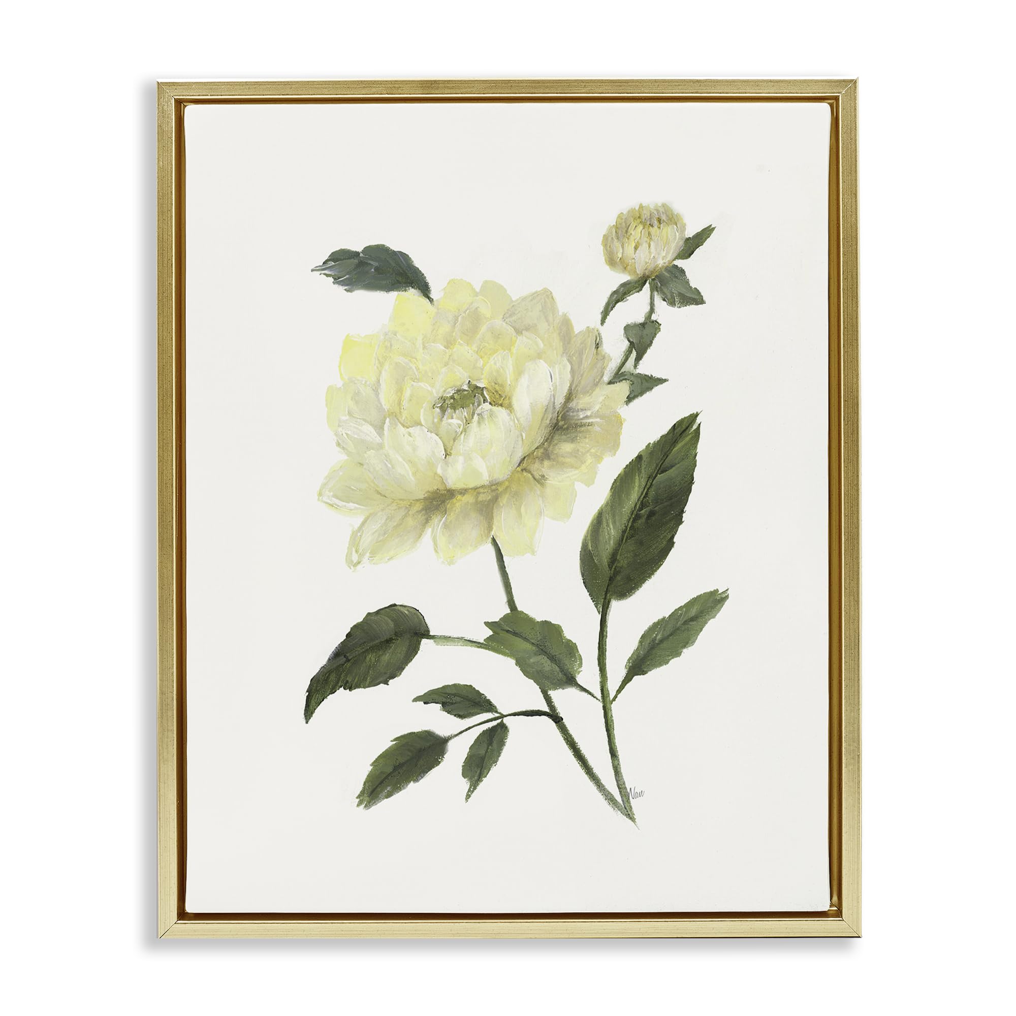 Stupell Industries Cream Garden Peony Floral 'Cream Garden Peony With Buds', Floating Frame Canvas Art, Gold, 17 X 21 Inches, Easy To Hang And Sturdy, Made In Usa, By Nan