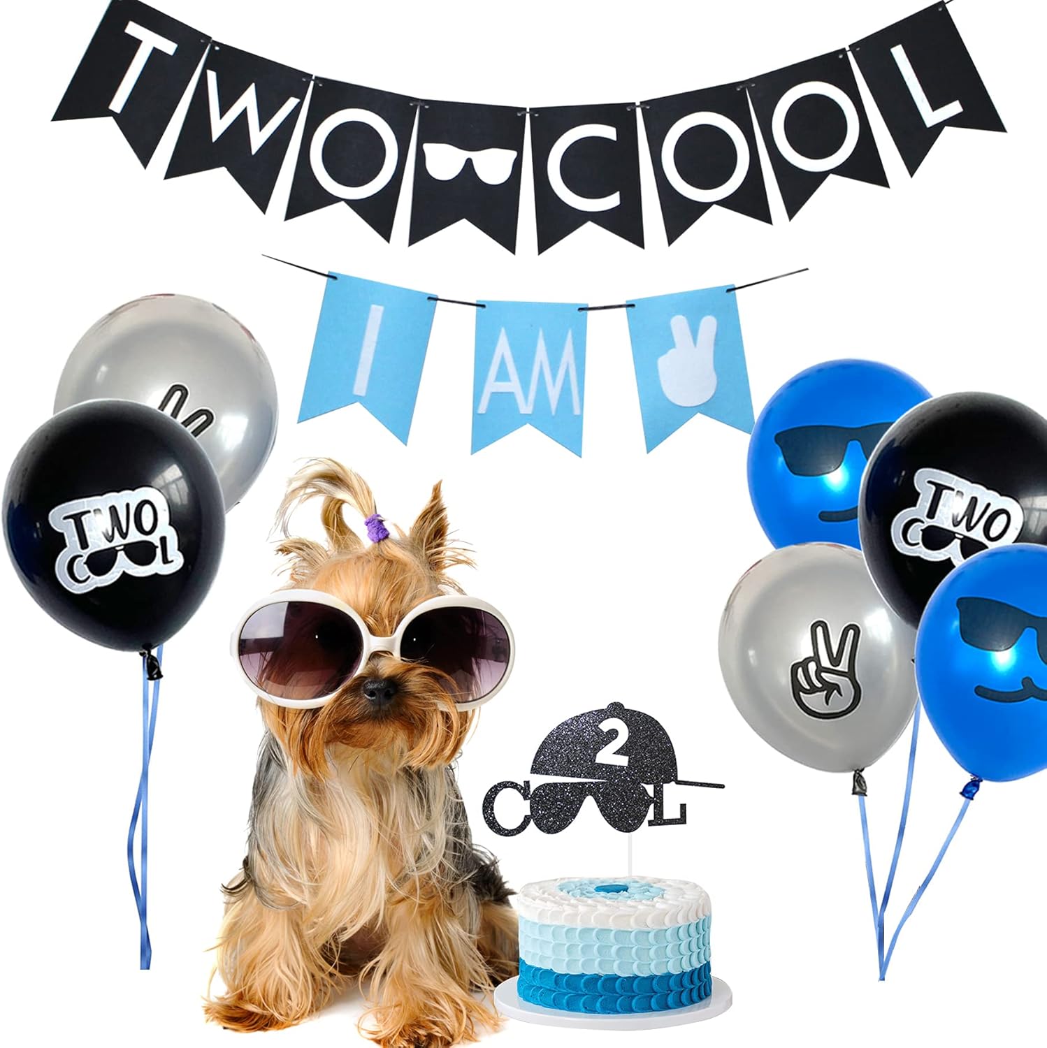 Two Cool Birthday Party Decorations & Supplies - I AM TWO Banner, Balloons, Cake Topper for Little Man's 2nd Birthday - Image 5