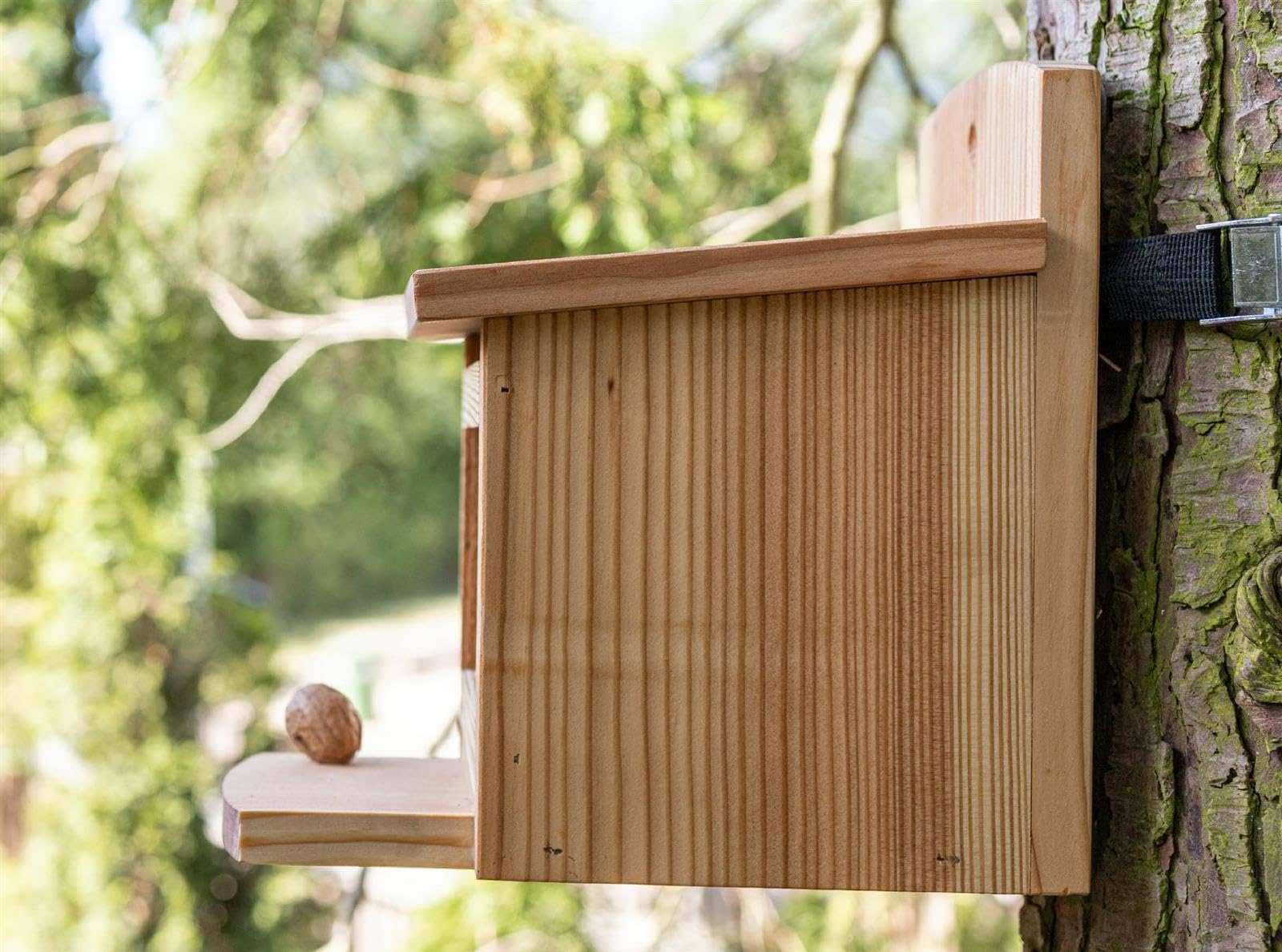 Eichhörnchen Futterhaus aus Lärchenholz – Mit integriertem Nussspender/Futterbox – Wetterfest & langlebig – Aus europäischer Lärche – Ideal für Garten & Balkon