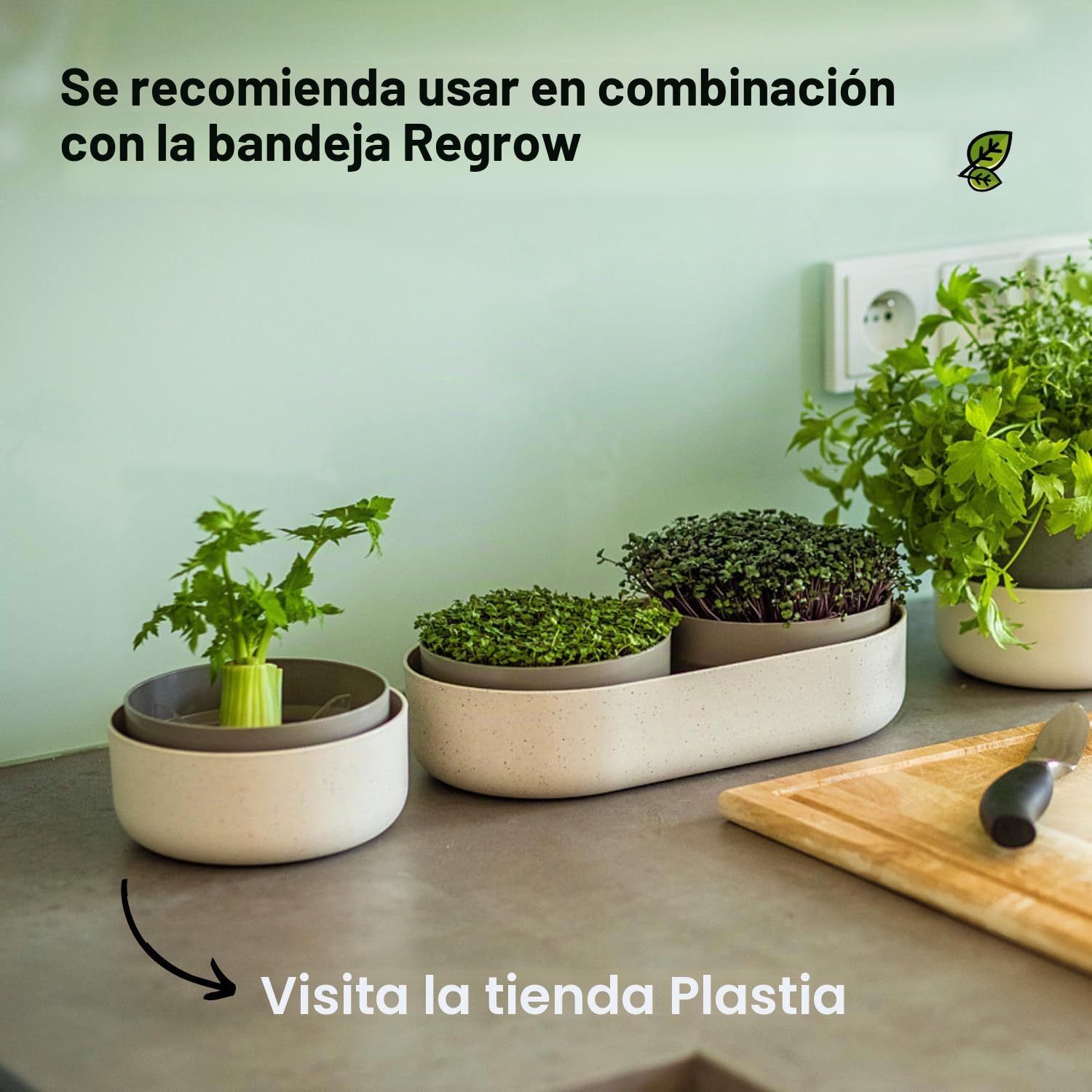Urbalive - Cuenco Grande de 16 cm para brotes, Semillas, microgreens – Diseño colador de plástico – Germsprossenbox germinador con Mezcla de café