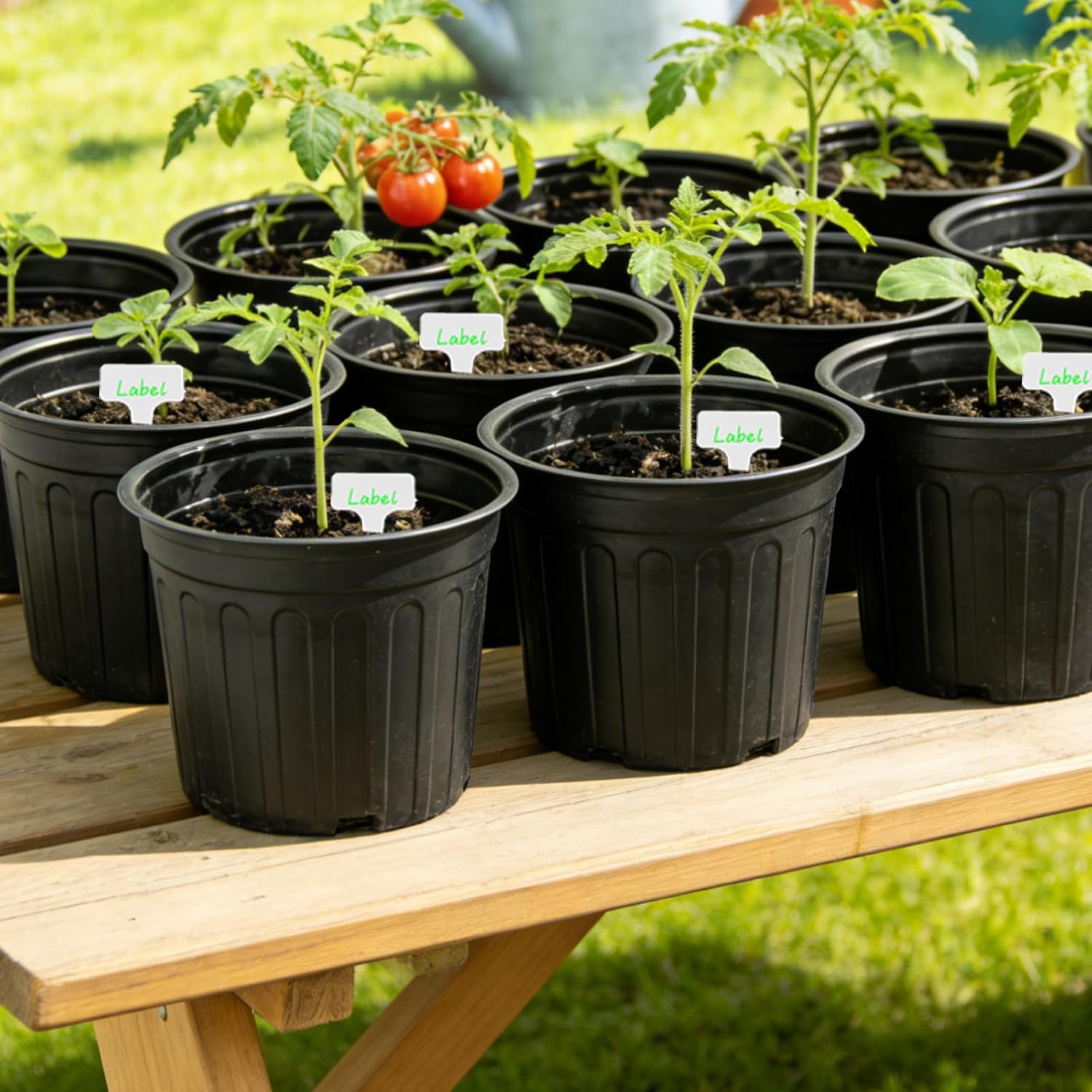 60-Pack 2 Gallon Flexible Plastic Plant Pots with 50Pcs Plant Labels,Thickened Soft Seed Starting Container for Indoor Outdoor Plants, Seedlings, Vegetables, Succulents and Cuttings