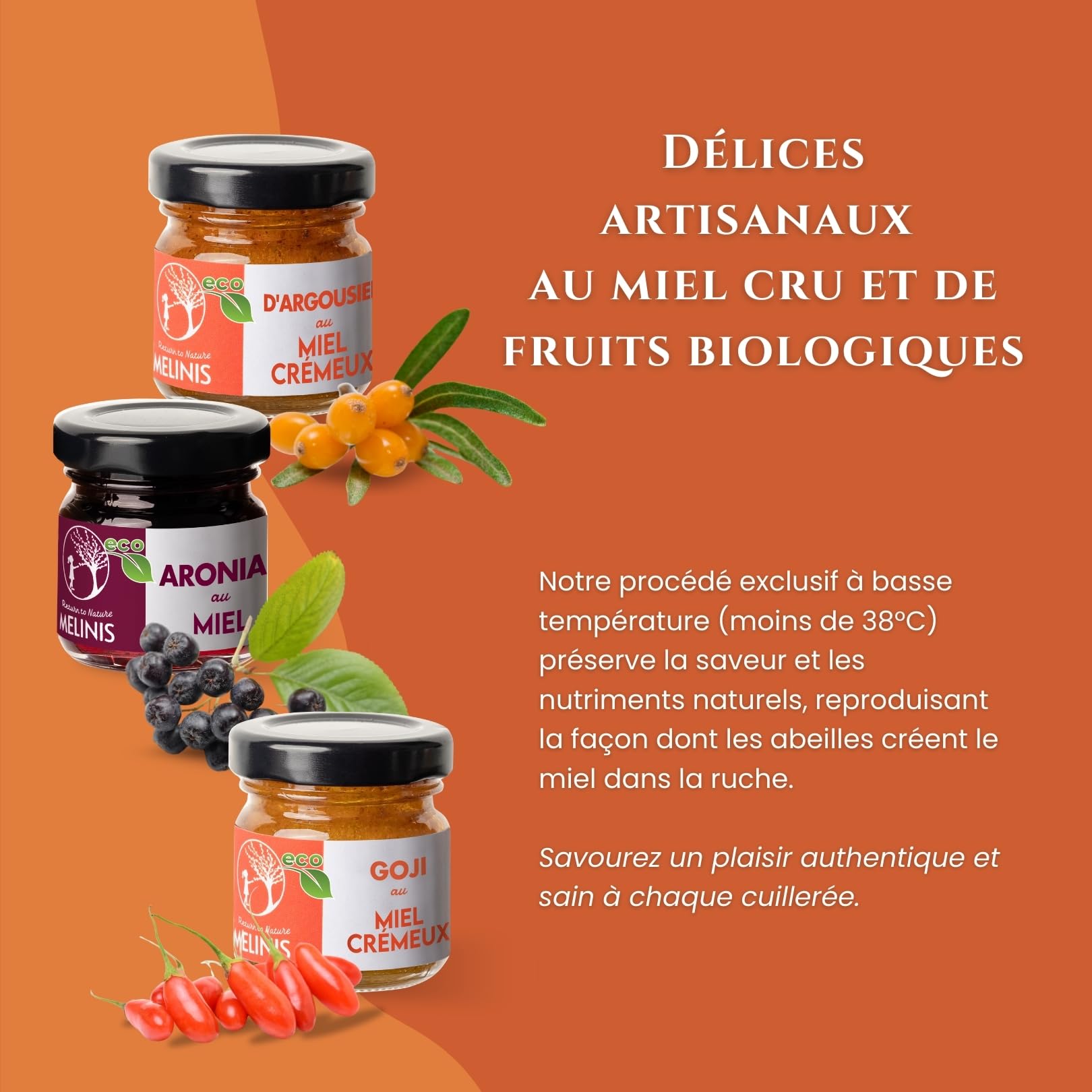 Coffret Dégustation “Explosion de Vitamines” 3 × 40 g – Miel Bio Tartinable à l’Argousier, à l’Aronia et au Goji – Sans Sucre Ajouté – Pour Petit-Déjeuner, Snacks et Cadeaux Gourmands – Melinis