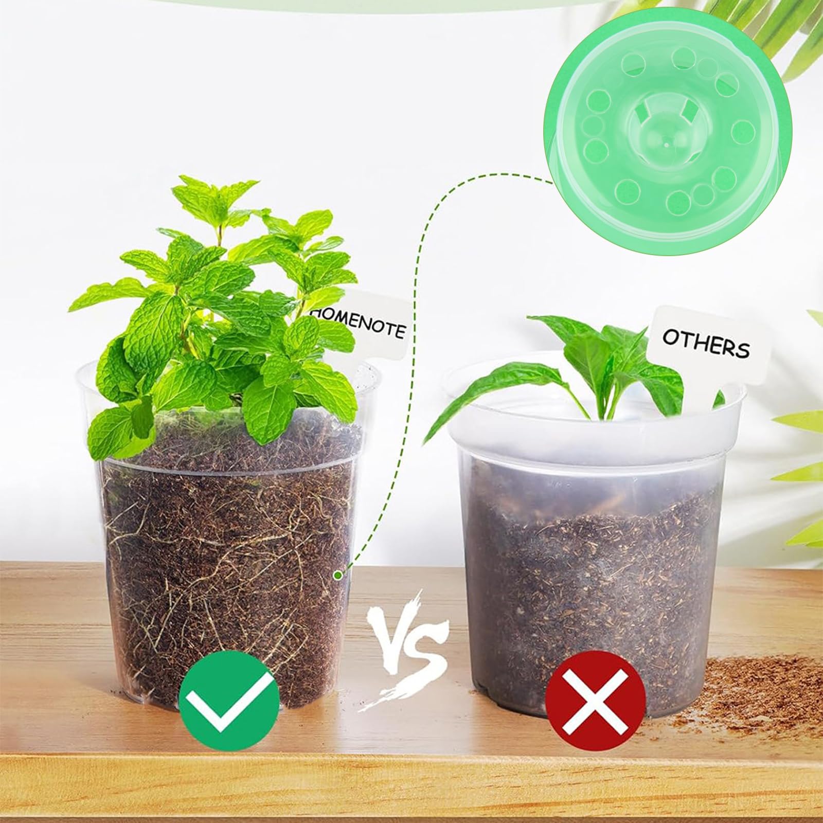 Vaso Doppio Strato Trasparente Vasi Per Orchidee Da 12 Cm Con Fori, Vasi Per Orchidee Ad Aria Con Vasi Trasparenti Per Orchidee