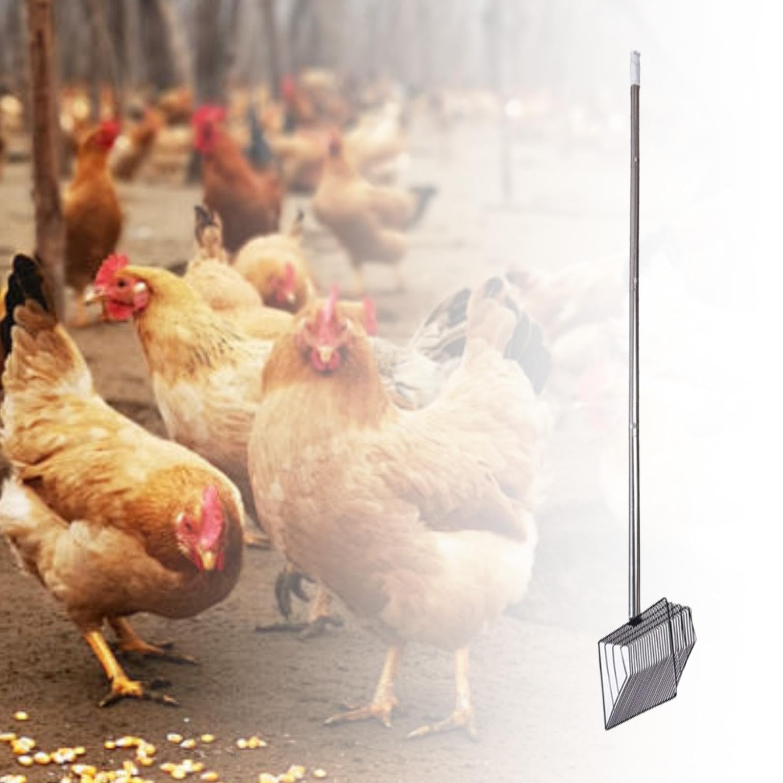 Paleta para Arena de Gato de Metal Separador de Residuos Accesorio para Gallineros Mango Ajustable Ergonómico Fácil de Colgar Adecuada para Mascotas G, 139 Cm