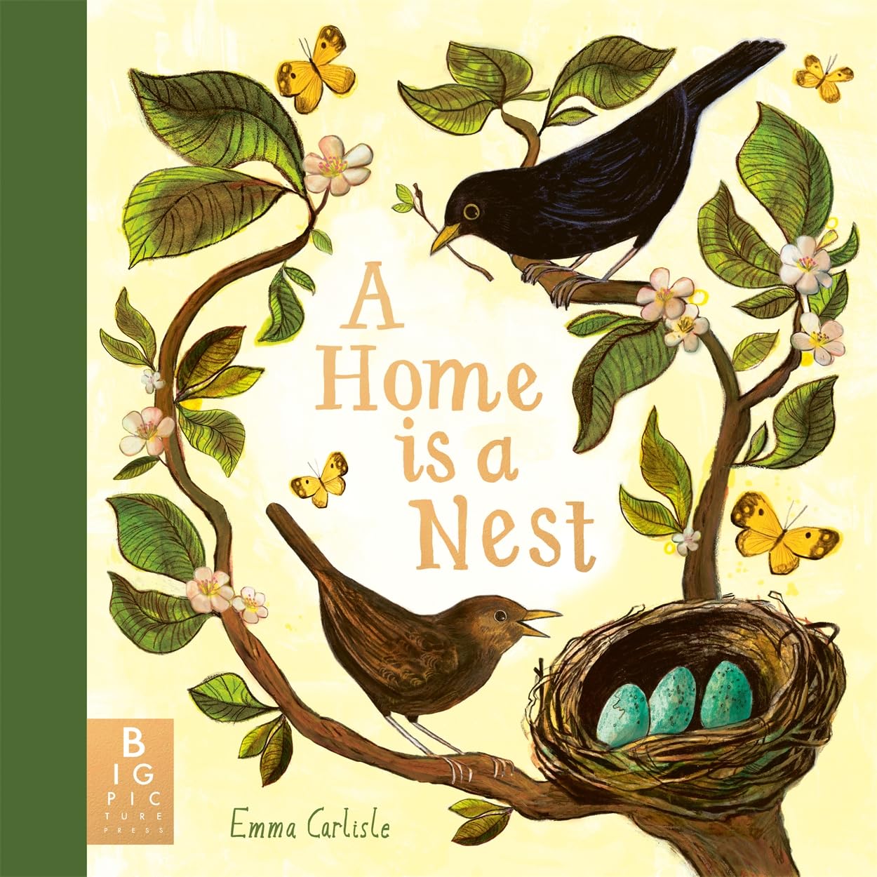 A Home is a Nest by Emma Carlisle (Hardback Book)