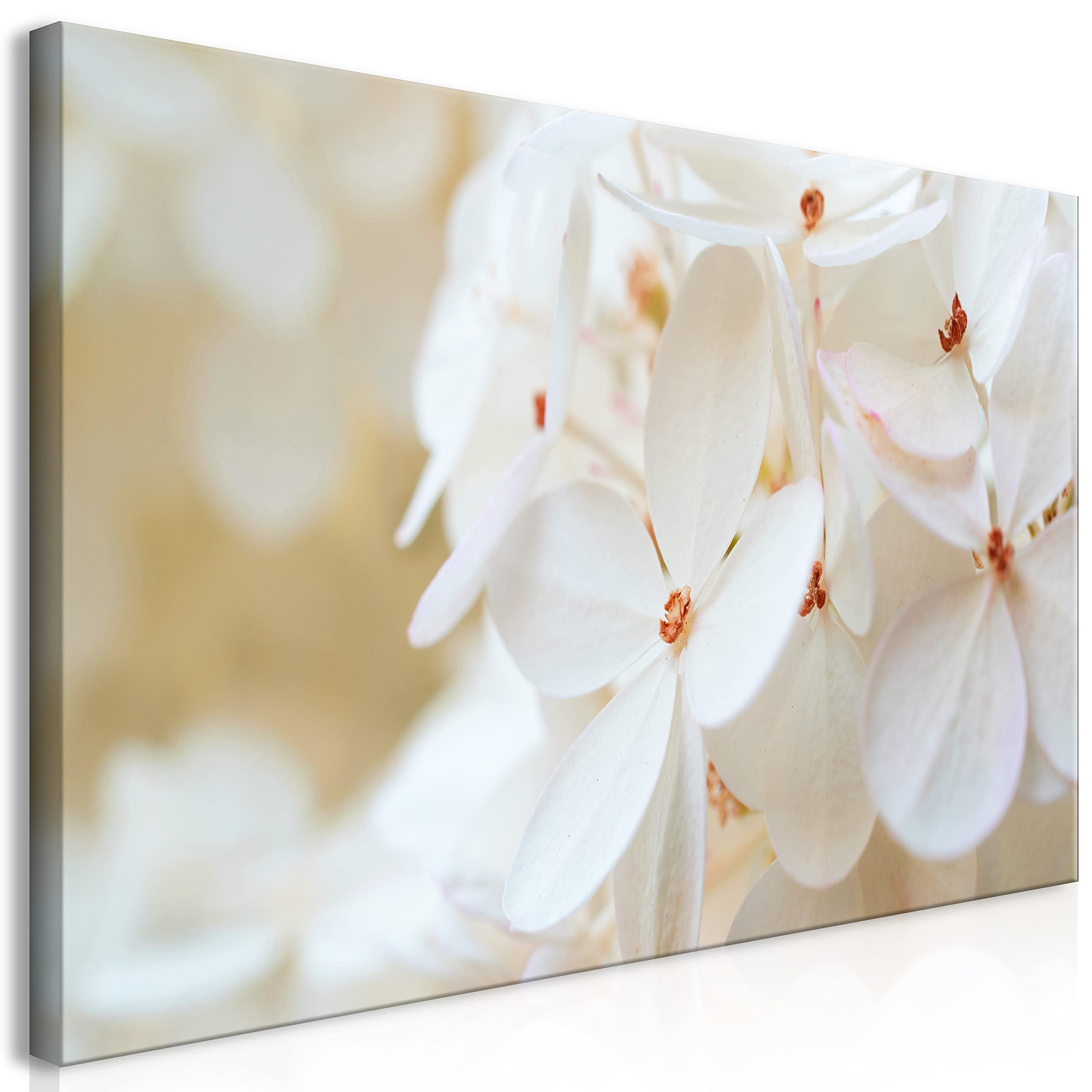 murando - Leinwandbild weiße Hortensie Natur, Schlafzimmer, Wohnzimmer | Hochwertige Leinwand, sofort aufhängbar, ideal fürs Wohn- oder Schlafzimmer, wasserfest und lichtecht, langlebig, stilvoll