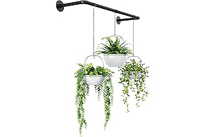 Bamworld Hanging Plant Holders for Indoor Plants: Elevate Your Greenery with Style