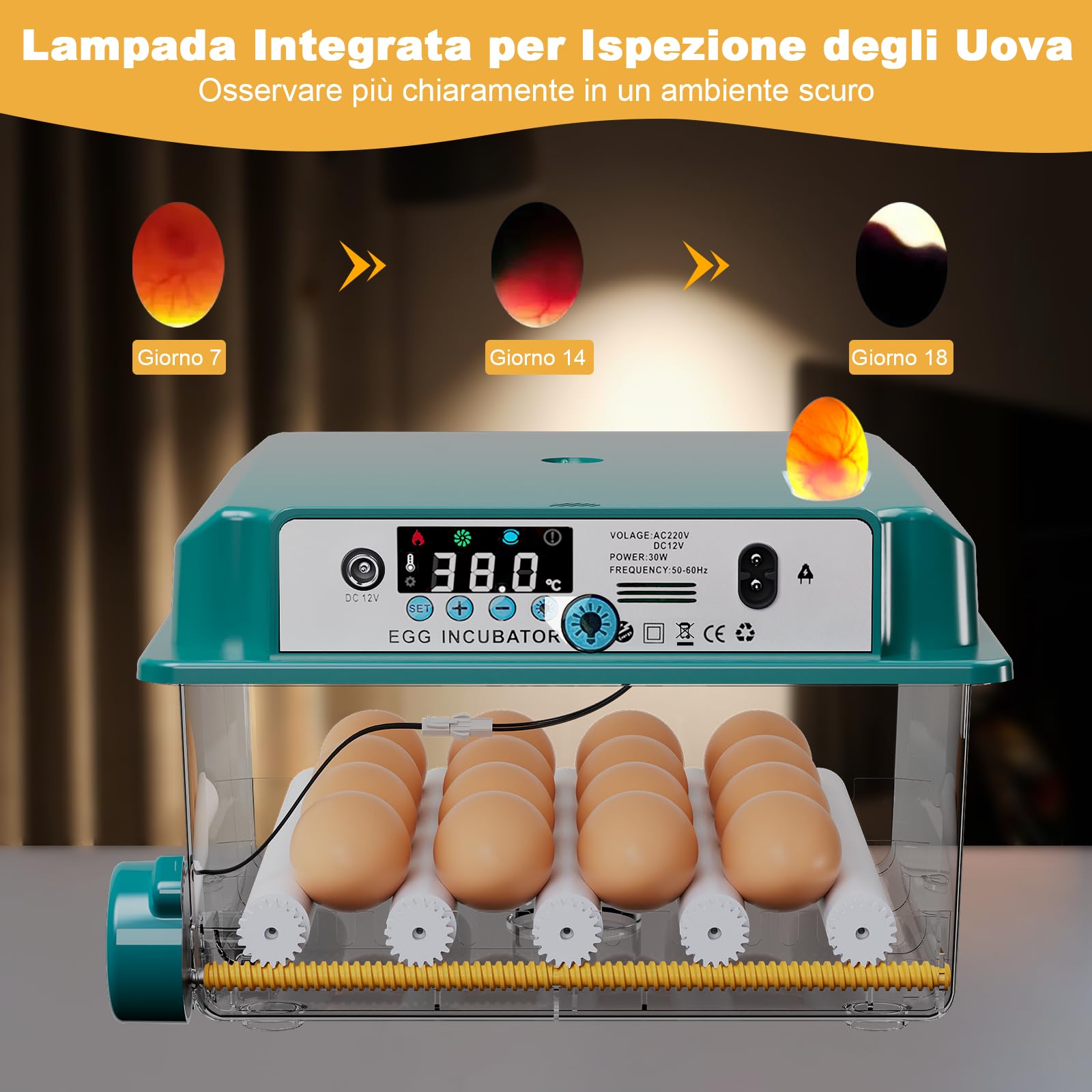 CoInceptus Incubatrice per Uova Automatica, Incubatrice per 12-16 Uova con Rotazione Automatica delle Uova e Aggiunta Automatica dell'acqua, Incubatrice per Uova di Gallina, Quaglia, Anatra