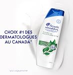 Head & Shoulders Anti-Dandruff Shampoo, Tea Tree Oil, 1% Pyrithione Zinc, Itchy Scalp, Mint Scent, 370 mL