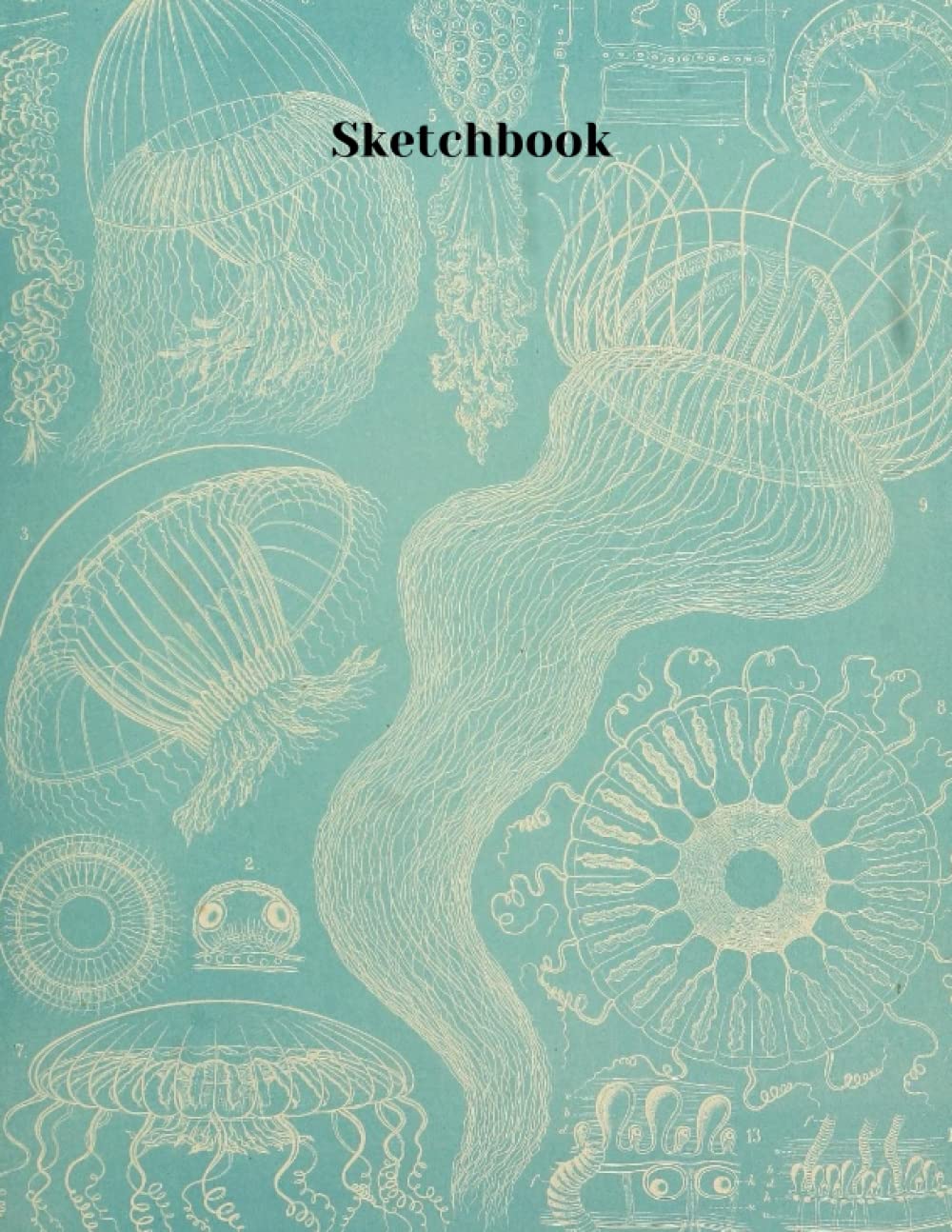 Jellyfish Sketchbook: Vintage Illustrated Cover, 100 pages, 8.5x11