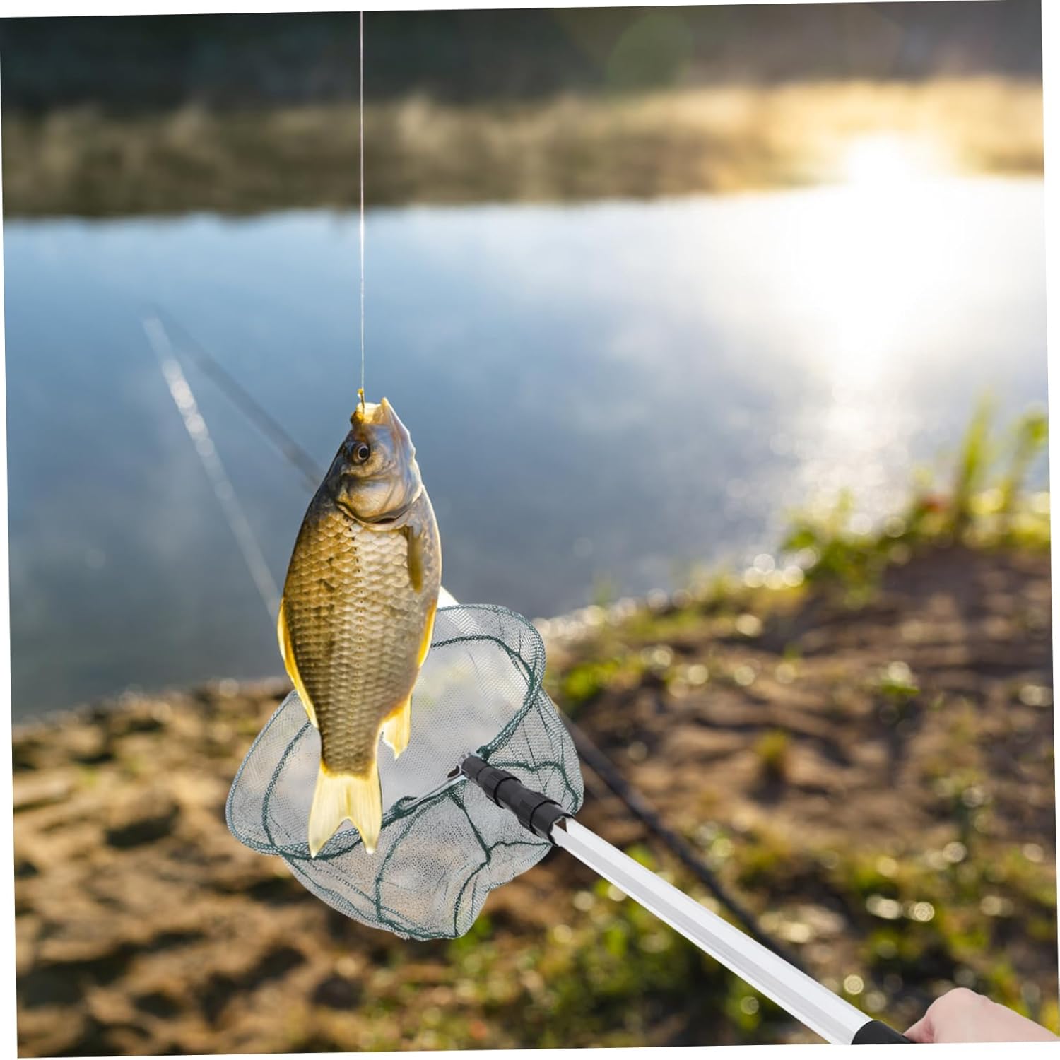 Aquarium Fish Net 1.5m Telescopic Retractable Net with Aluminum Alloy Handle with Mesh Random Style