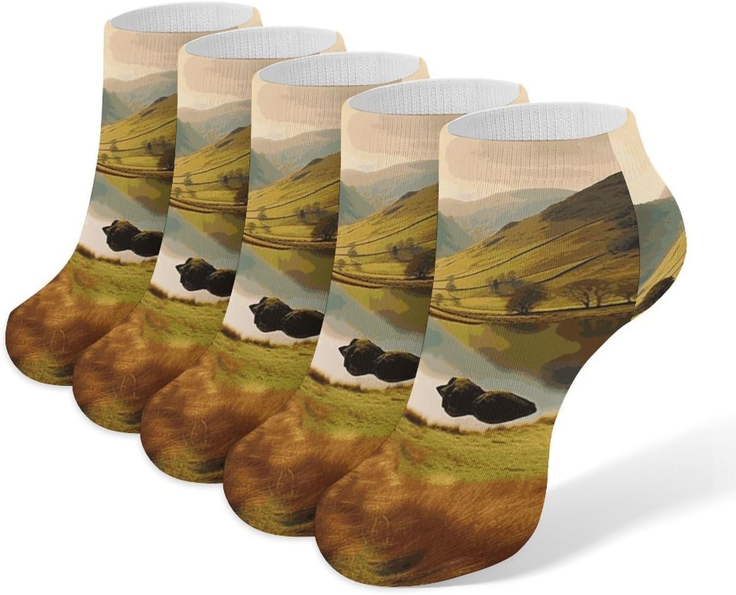 Lake District Athletic No Show Ankle Socks – 5 Pairs Breathable Casual for Men & Women