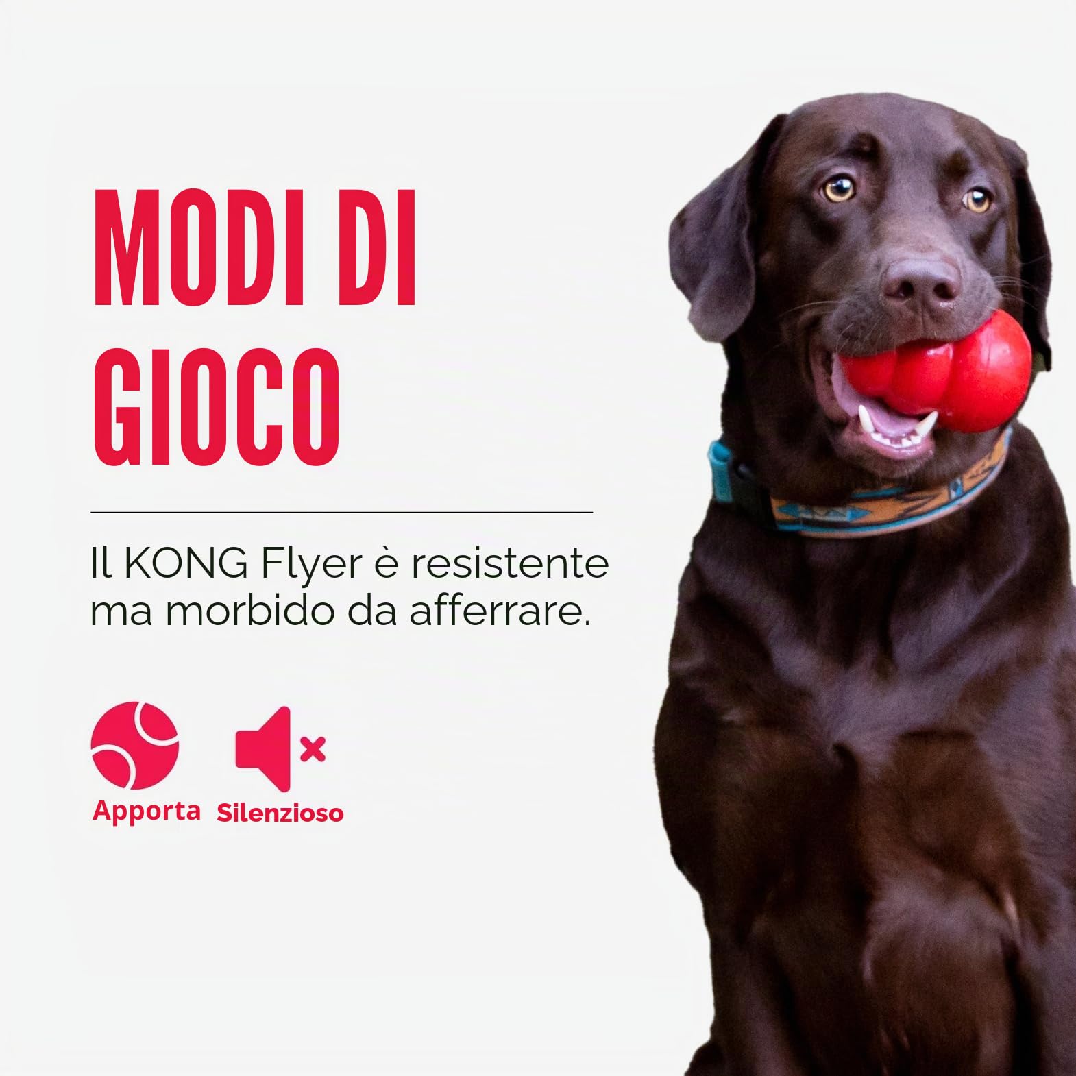 KONG Flyer Giocattolo Per Cani Resistente Disco Volante In Gomma Naturale Per Cani Di Taglia Media/Grande