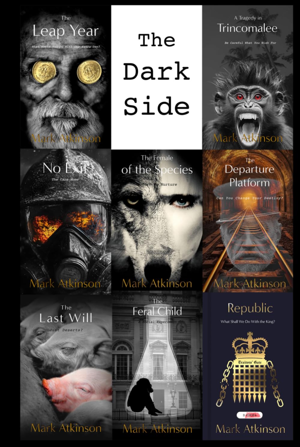 The Dark Side: A Noir Short Story Collection