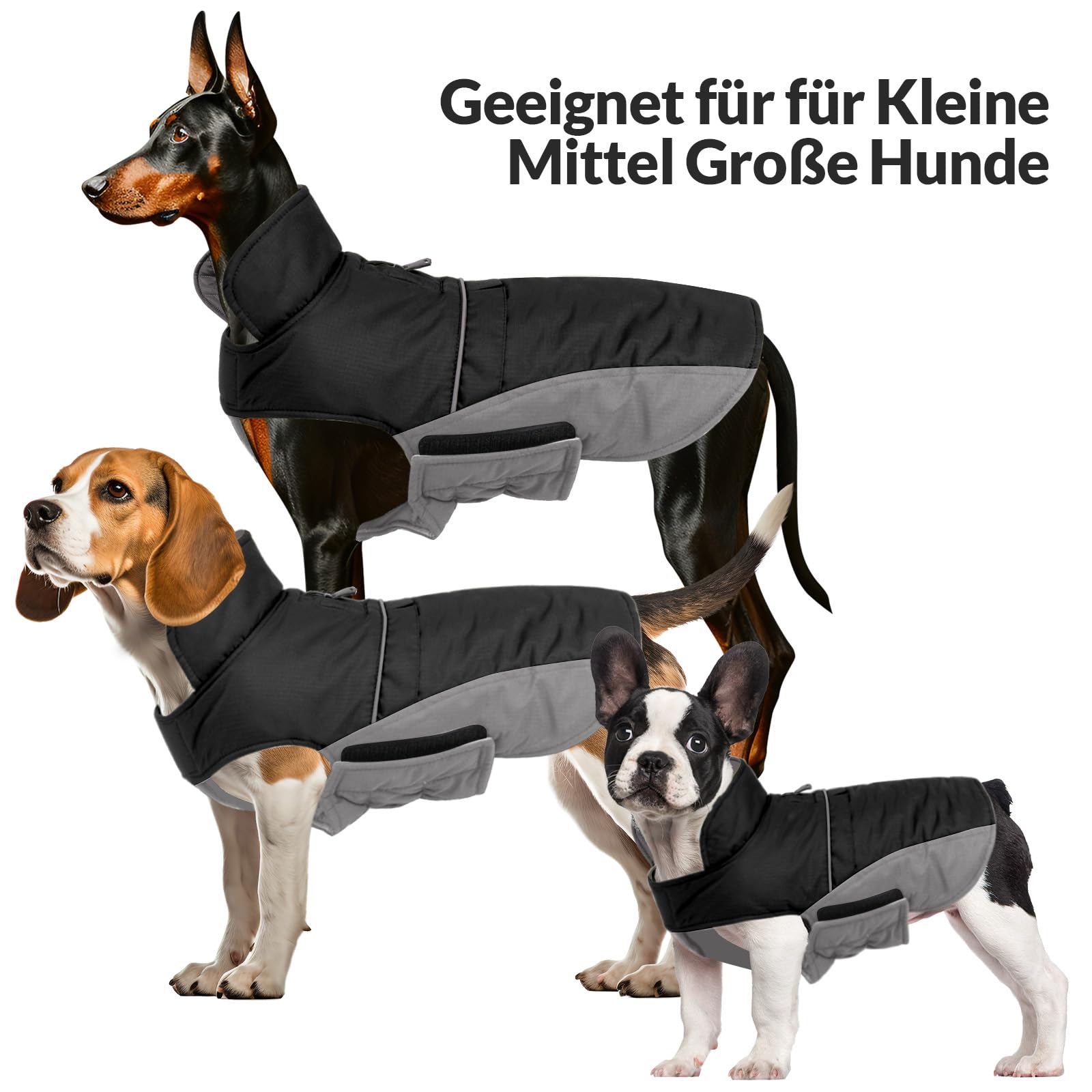 Hjyokuso Hondenjassen - waterdichte winterjassen voor honden (Small, Medium, Large) - met harnasgat, perfect voor chihuahua, Franse buldog, teckel