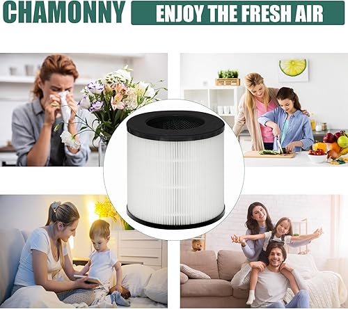 Miniatura 6 de CHAMONNY Cayman 608320 Replcement de filtro, compatible con Okaysou (Oksou) Cayman 608320 purificador de aire, filtro 3 en 1 H13 True HEPA y filtro