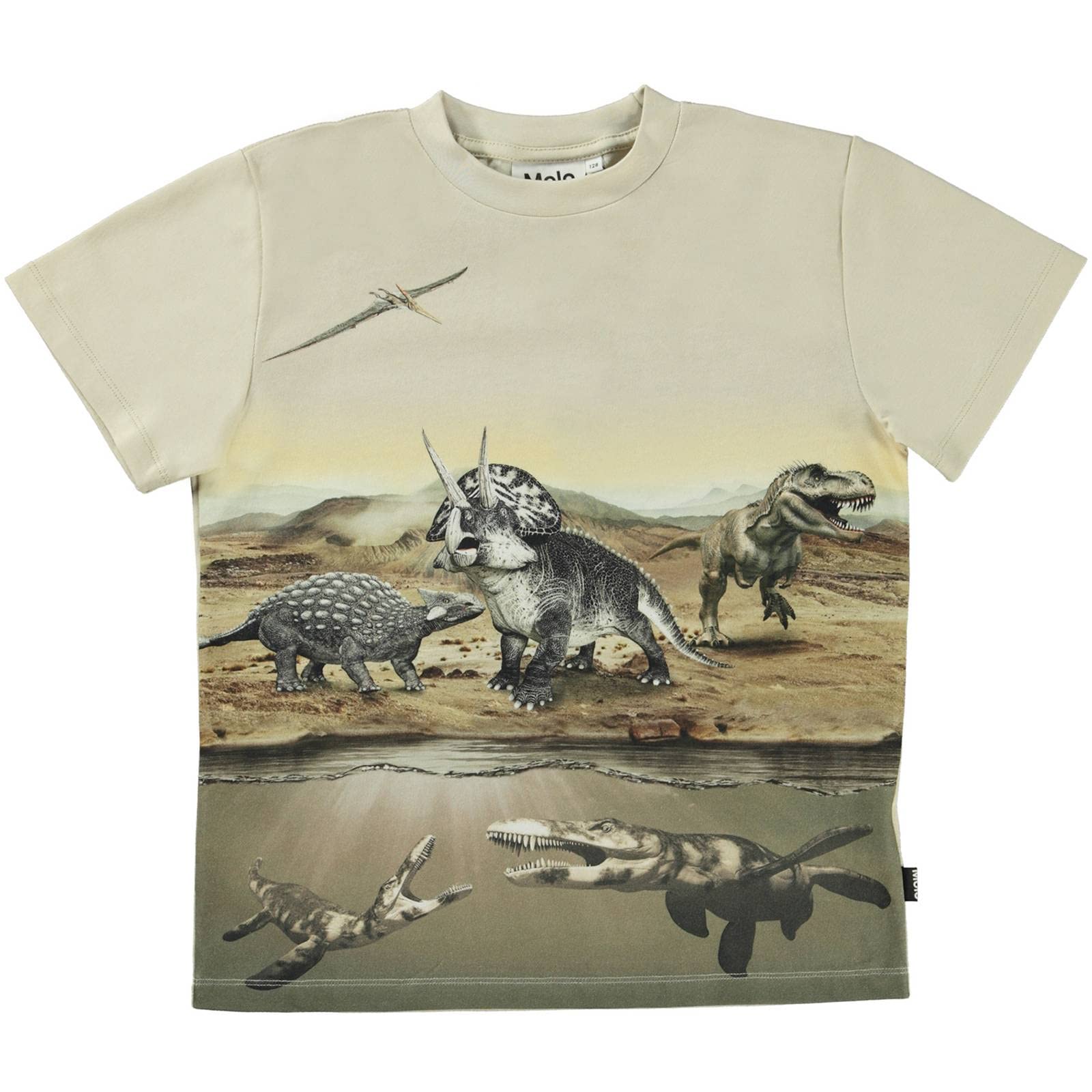 Molo Jungen T-Shirt Desert Dinos GOTS
