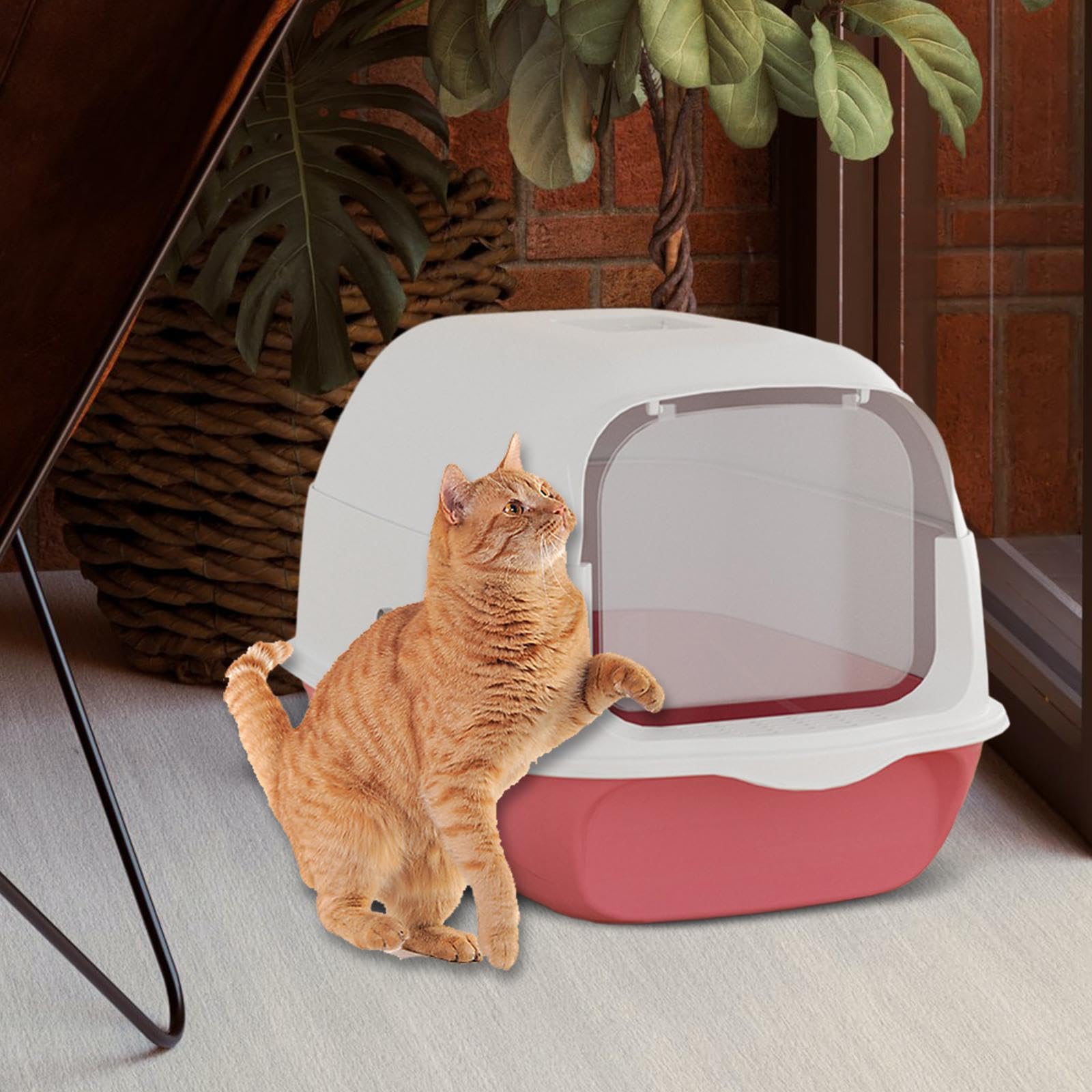 Bac à Litière Entièrement Couvert pour Chat, Pliable et de Sable, avec Porte, Cyan