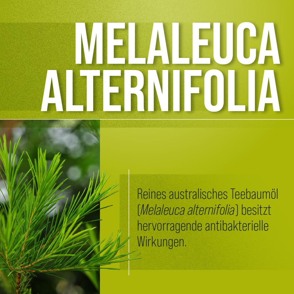 teebaumöl – Pomada con jojobaöl, avocadoöl, ringelblumenöl, getreidekeimöl 100 ml