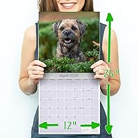 Vista 557 de Razas de Perros 2017