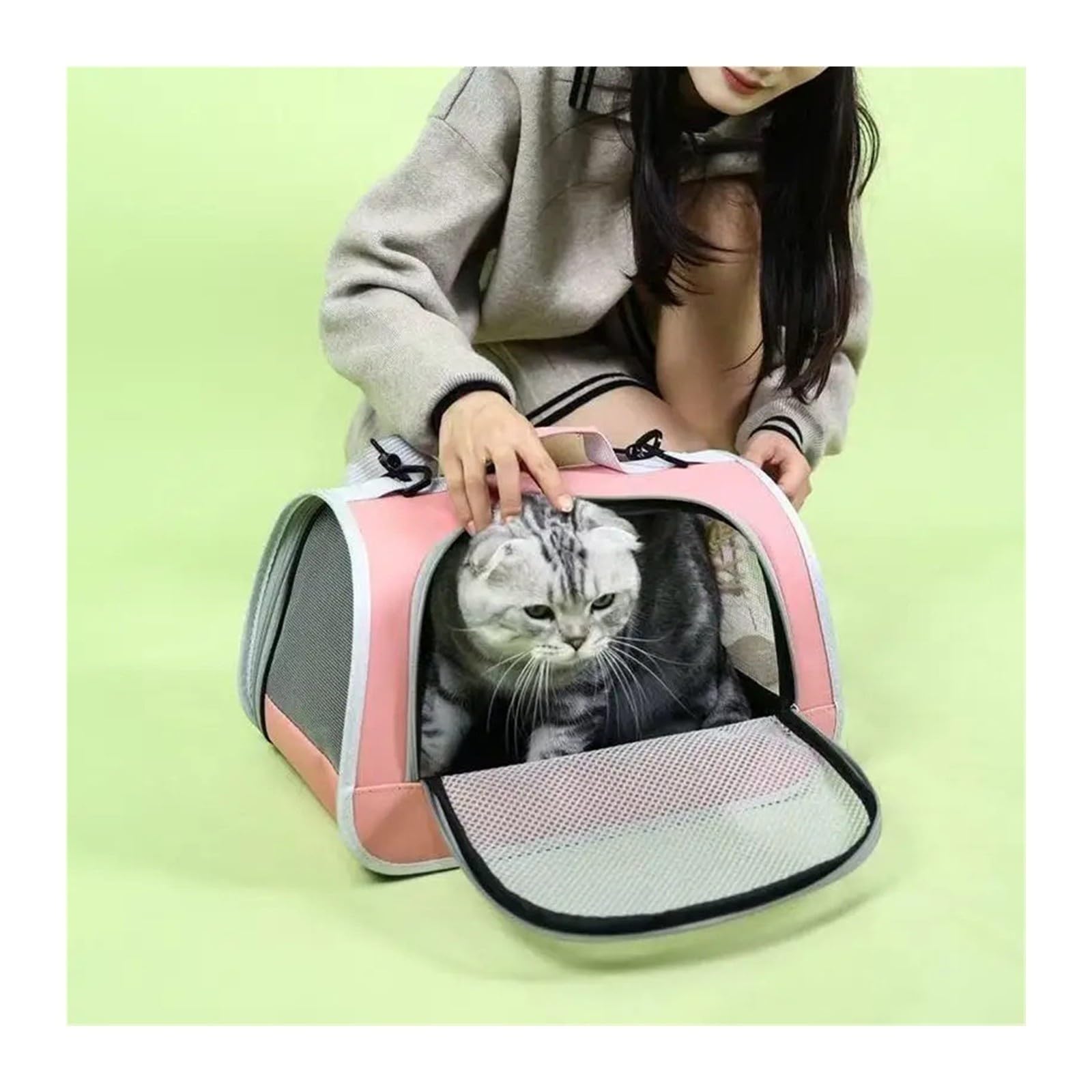 Borsa portatile for cani da compagnia