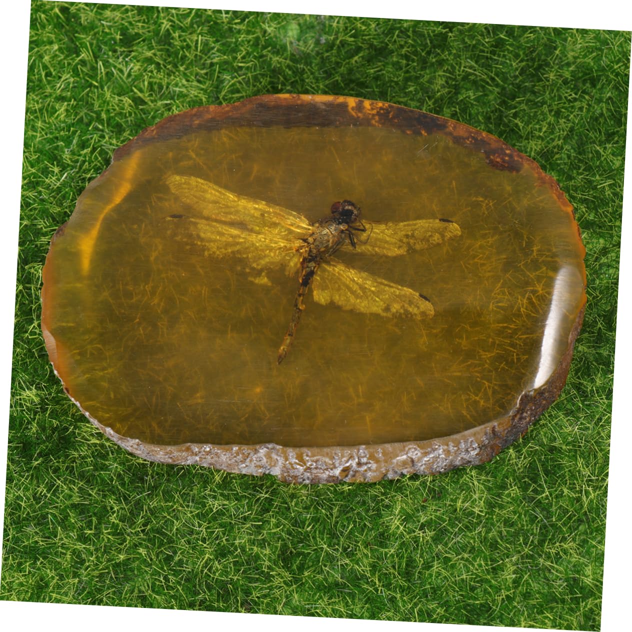 Ciondolo In Ambra Con Incluso - Pendente Con Farfalla Fossile, Design Unico | Per Collezionisti E Appassionati - Foto 3