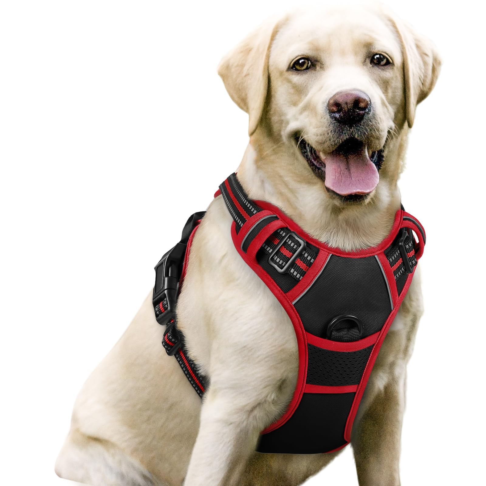 rabbitgoo Dog Harness, No Pull for Large Dogs with 2 Leash Clips, Pet Vest | No Choke wit…