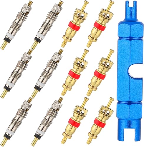 Herramienta de reparación de núcleo de válvula de bicicleta con 12 piezas de repuesto de núcleo de válvula Presta y Schrader, removedor de núcleos