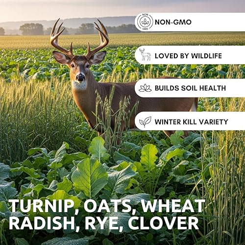 Miniatura 3 de Semillas de parcela de comida de venado de cola blanca  Mezcla de avena de centeno de trigo con trébol de rábano de nabo  Mezcla de búfalo (1 libra)