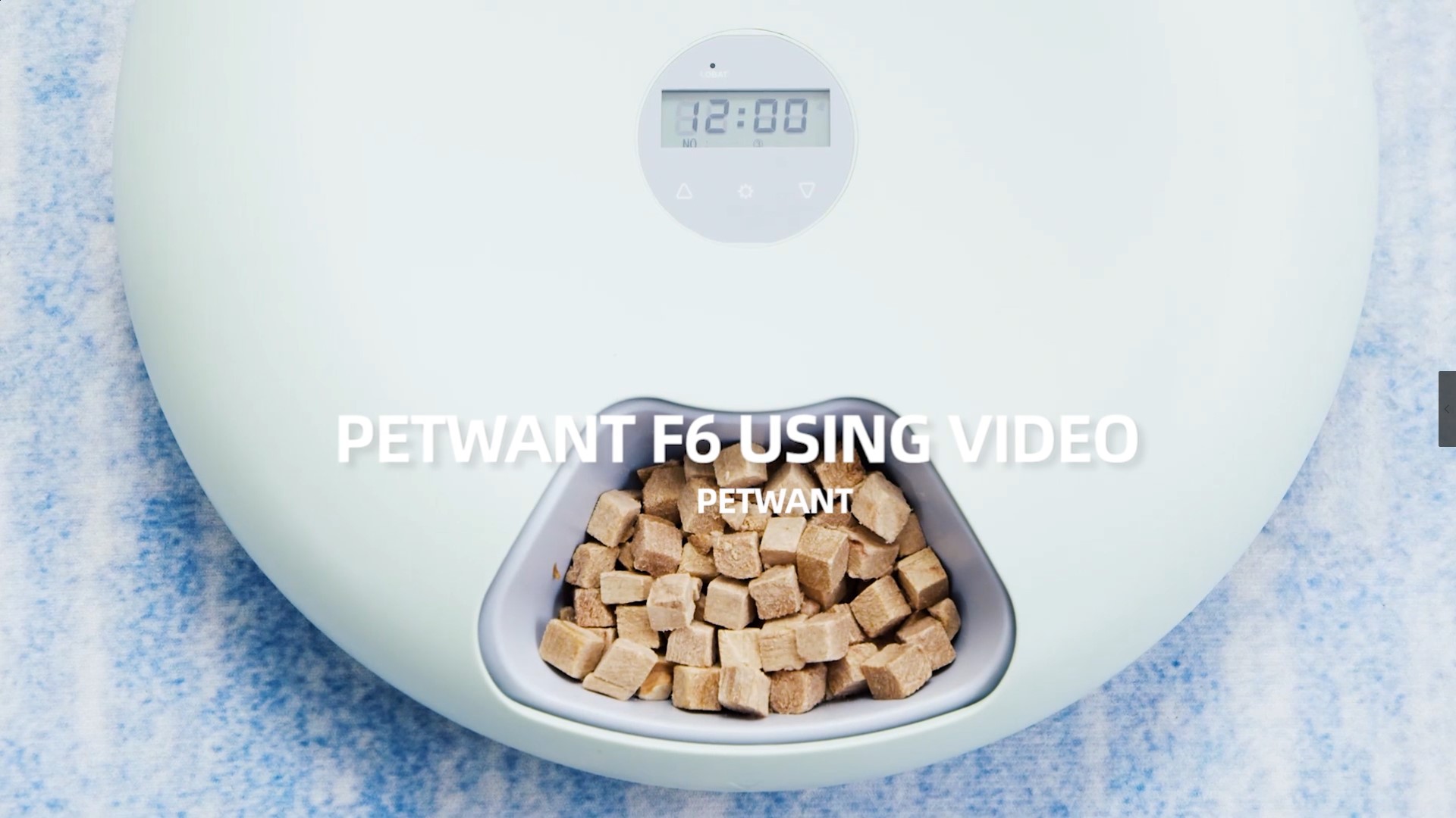 Ipettie Automatic Pet Feeder Manual