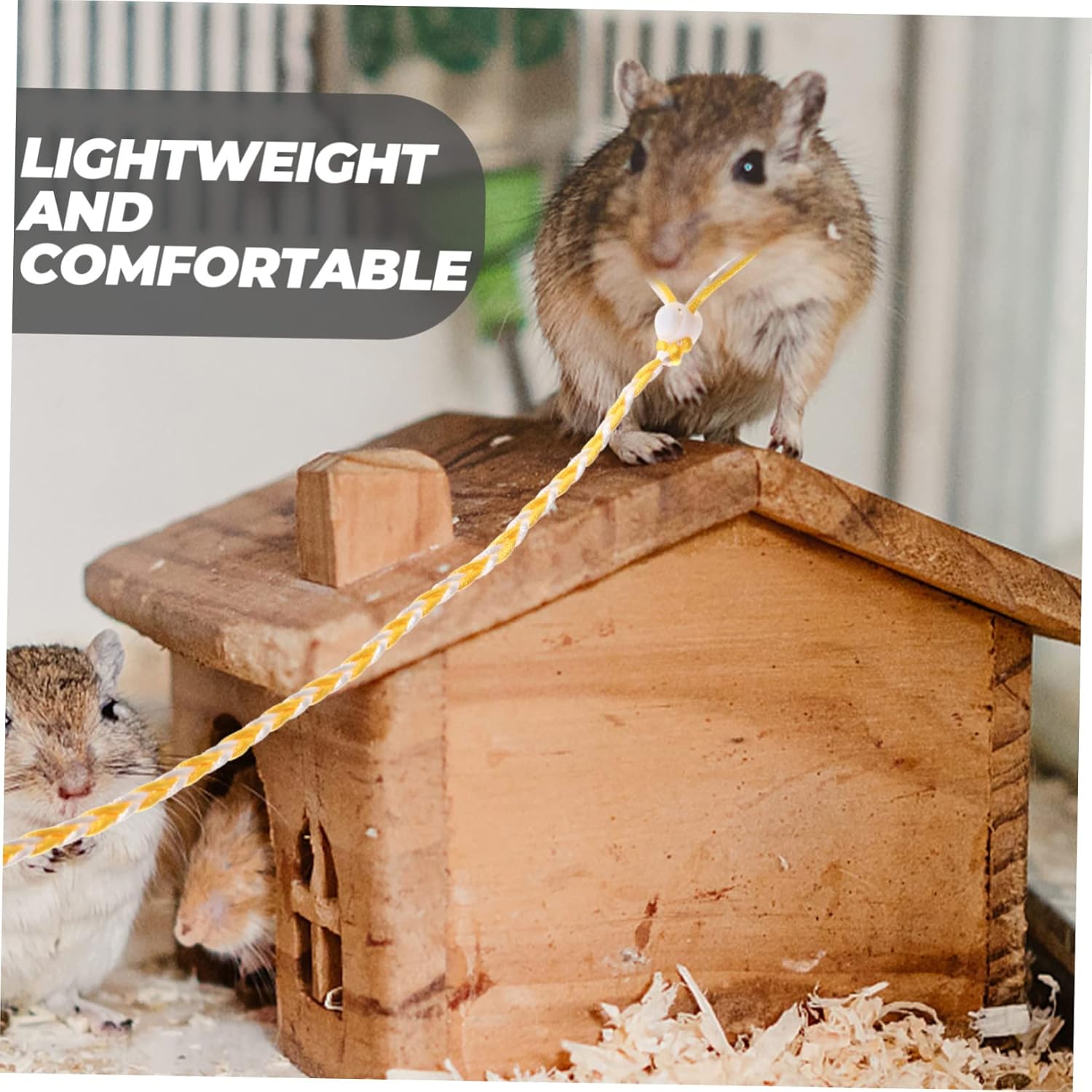 POPETPOP 12pcs Pet Leading Leash for Small Animals Comfortable Traction Rope for Hamsters and Squirrels Breathable Design for Outdoor Walks and Safety