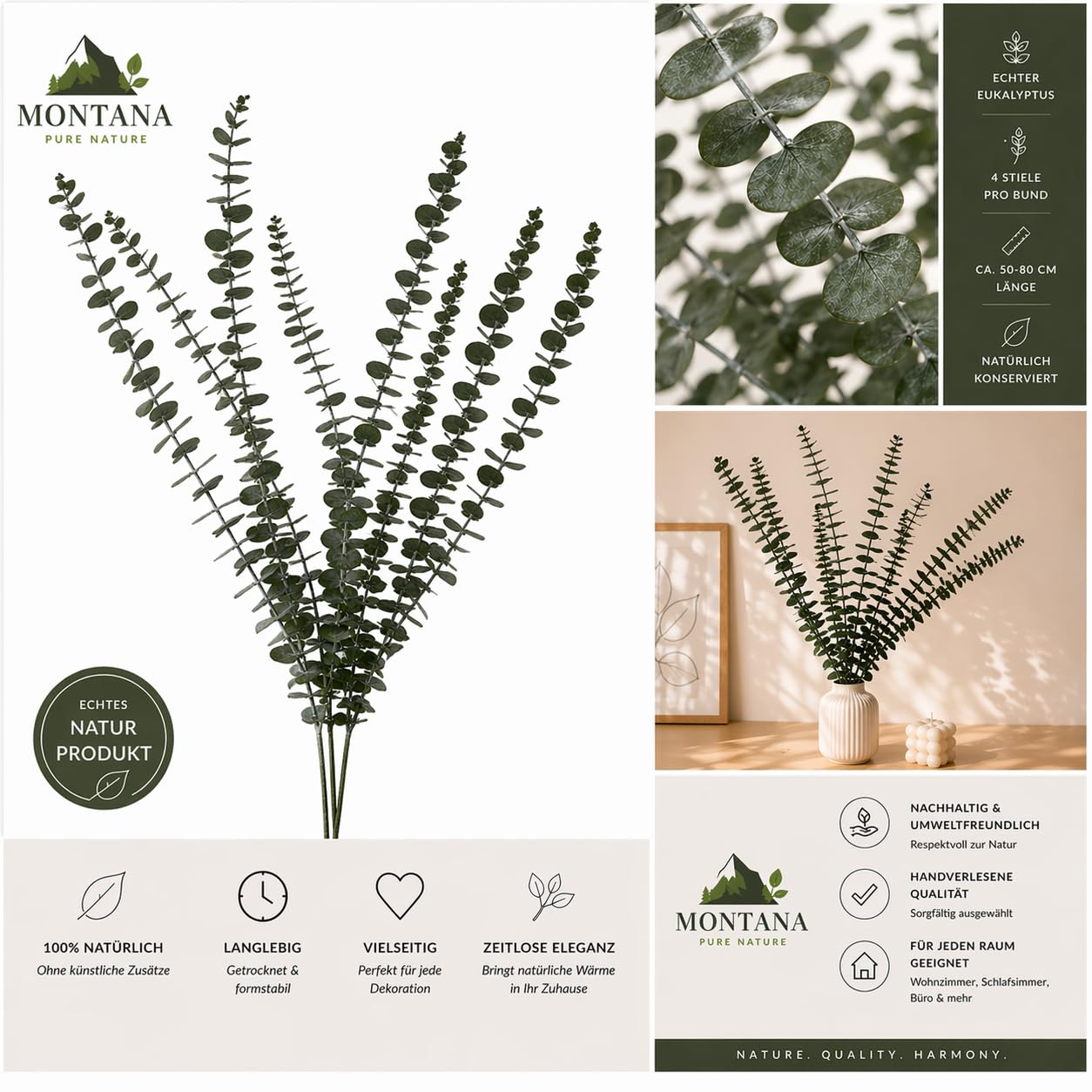 bouquet d'eucalyptus préservé (vert)