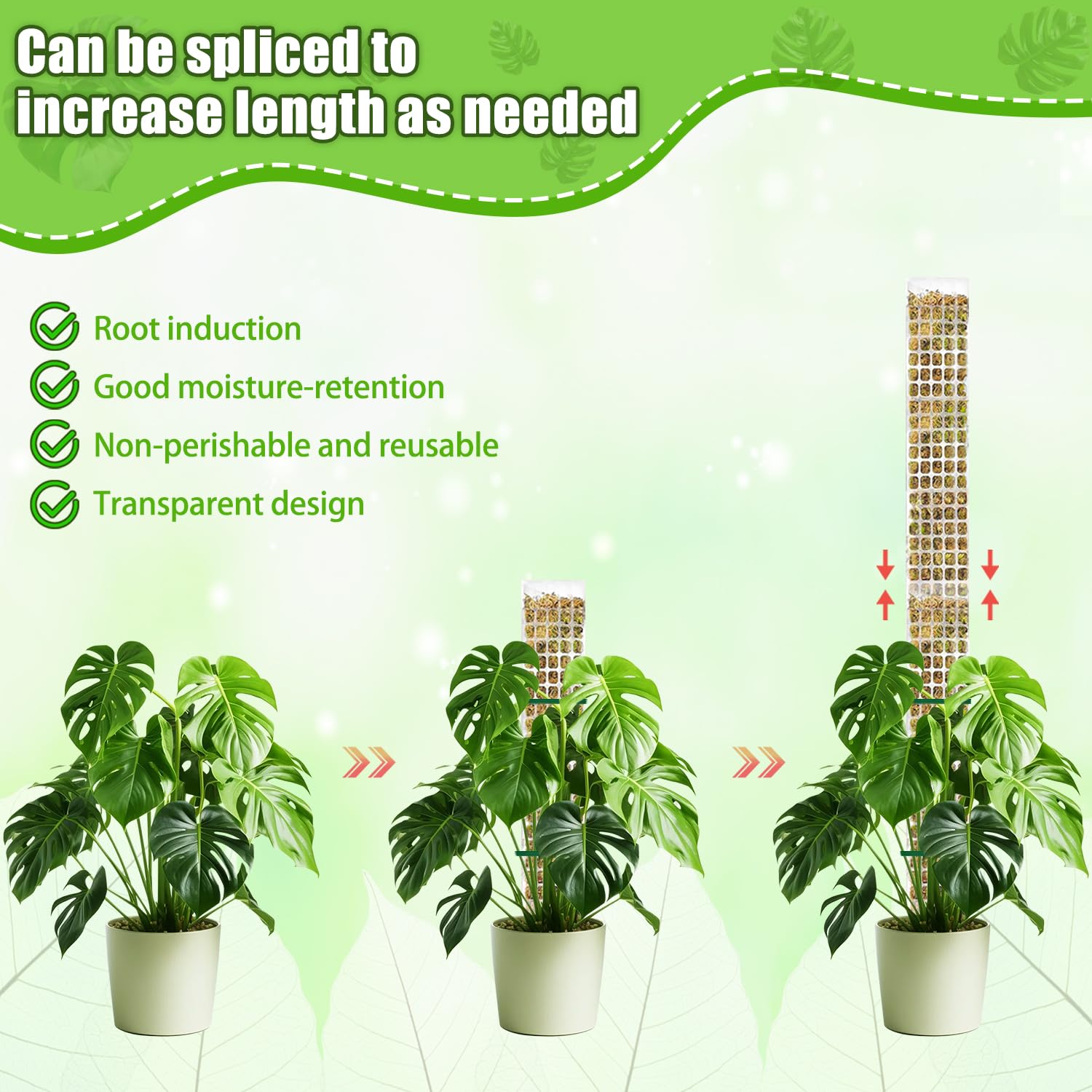6 PiezasTutor Musgo, Tutores para Plantas Trepadoras, Moss Pole 60cm, Palo Musgo Plantas para Extensión de Soporte para Enredaderas e Monstera