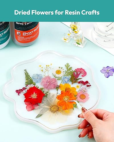 Vista 117 de Resiners - Flores secas, 100 piezas de flores prensadas para manualidades, color amarillo, flores secas naturales, kit de hojas secas