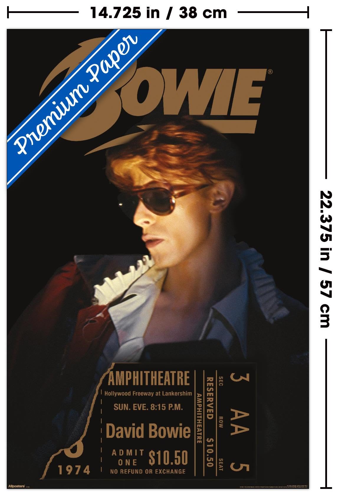 Amazon.com: David Bowie - Diamond Dogs LA Tour 1974 Wall Poster