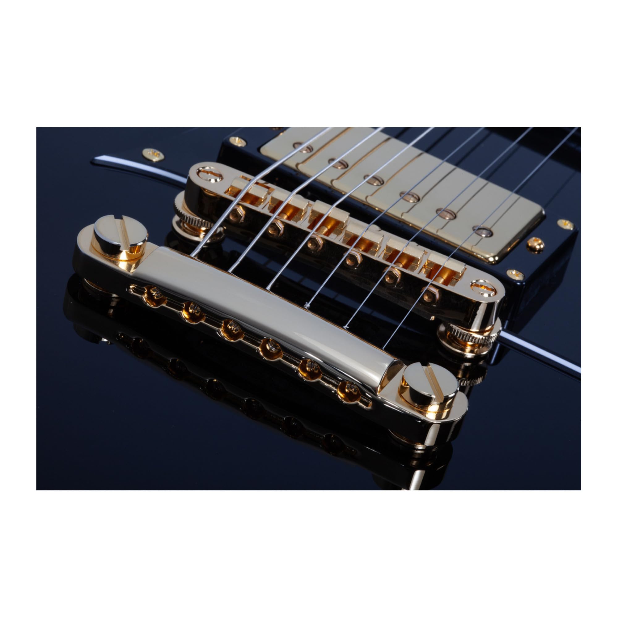 Amazon.com: Schecter ZV-H6LLYW66D-S Zacky Vengeance Signature