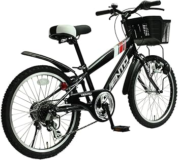 Sebike キッズバイク20インチ Kids – SE BIKES Powered By BikeCo