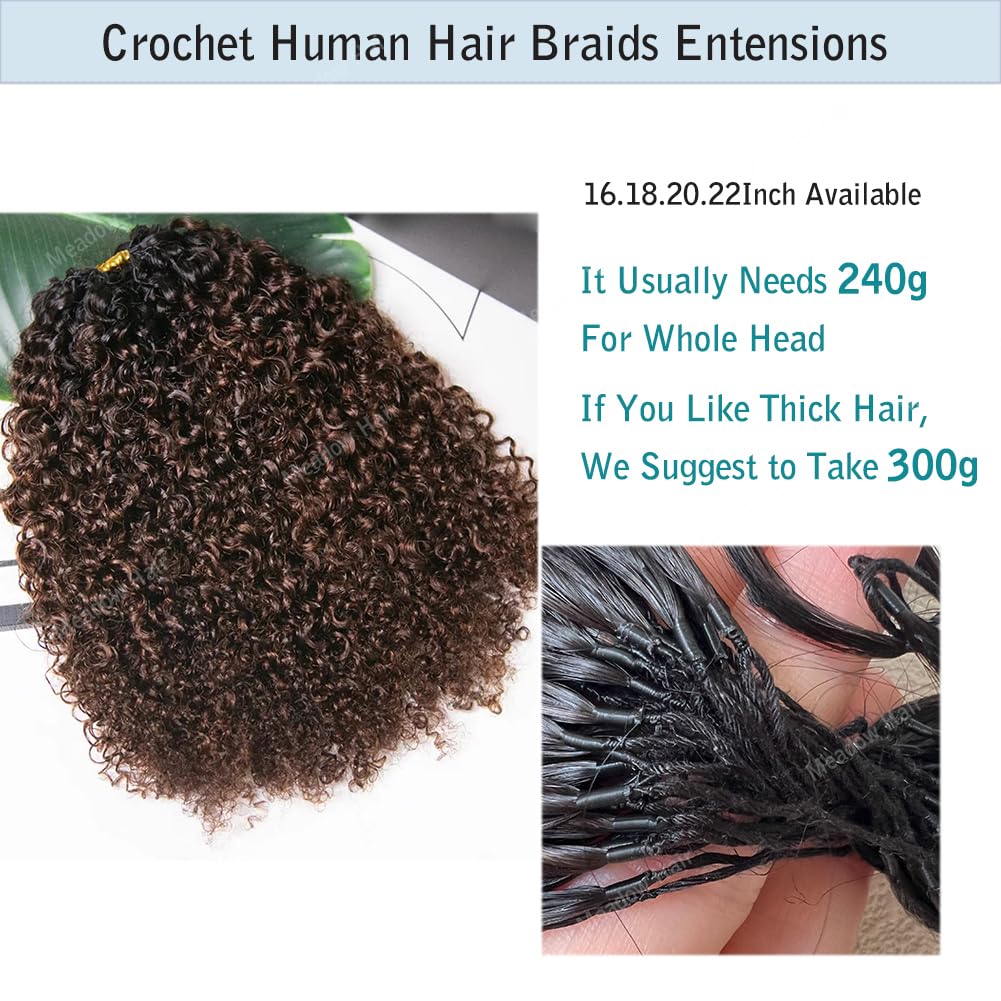 Ombre Crochet Human Hair Braids Extensions Multi-Textured Feather Hair Bundles Afro Kinky Curly Knotless Hair Pre Separated For Braiding Mongolian Virgin Hair For Black Women 18inch 240g